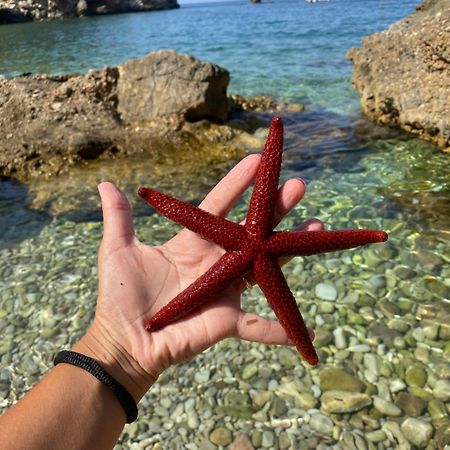 Appartamento Barone Castellammare del Golfo Exterior foto